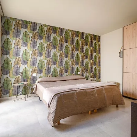 Musa - Your Exclusive In